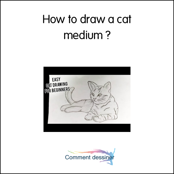 How to draw a cat medium